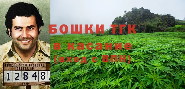 ПСИЛОЦИБИНОВЫЕ ГРИБЫ Алексеевка