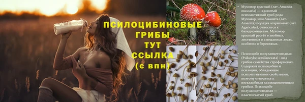 винт Абдулино