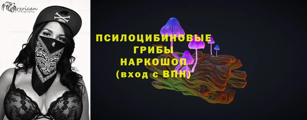 ПСИЛОЦИБИНОВЫЕ ГРИБЫ Алексеевка