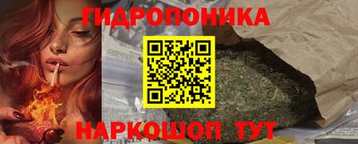 МДПВ Волжск