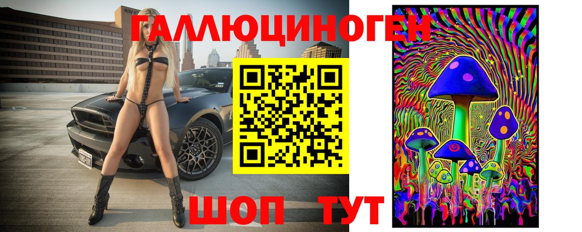 Галлюциногенные грибы Psilocybe Клинцы