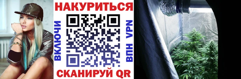 МАРИХУАНА сатива  Клинцы 